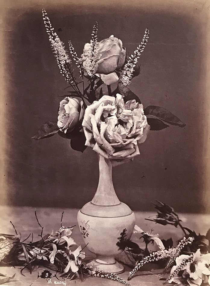 Still Life of Rose and Other Flowers in a Narrow Neck Vase