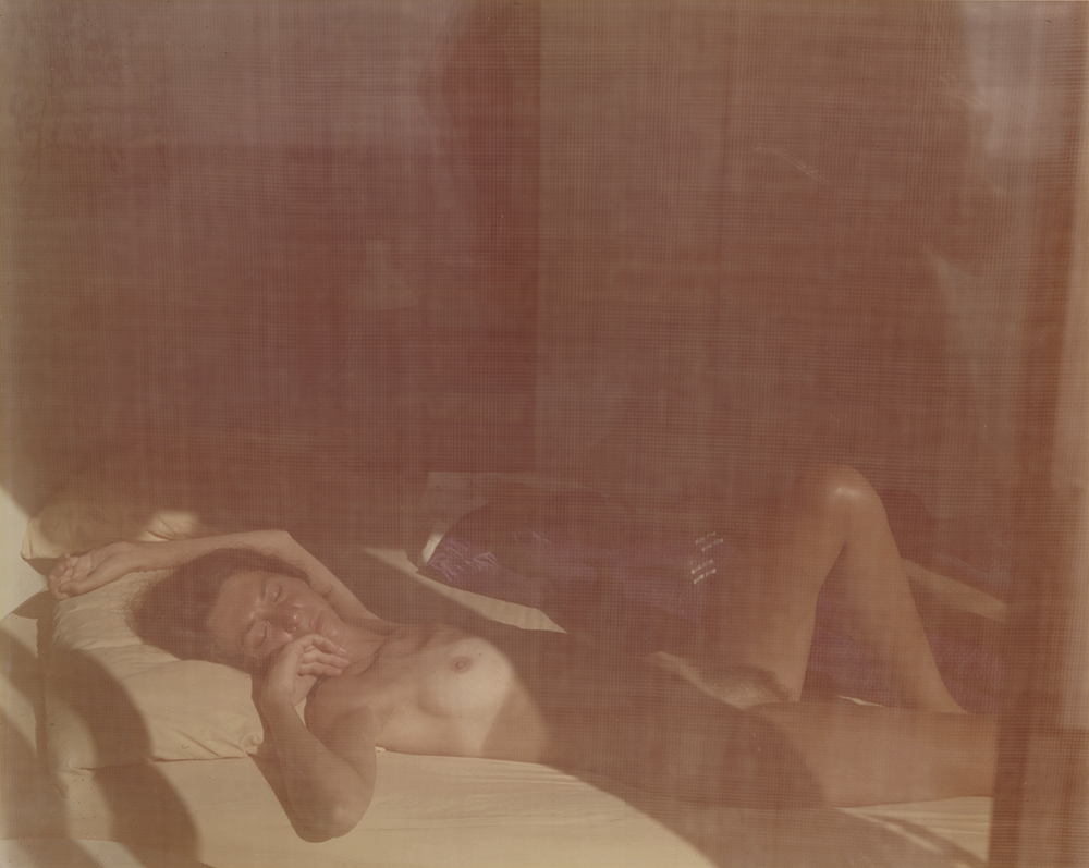 Joel Meyerowitz - Vivian, Cape Cod