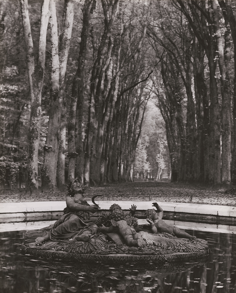 André Kertész - Versailles (Rows of Trees, Fountain)