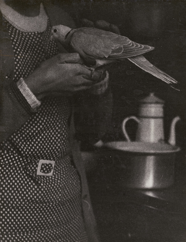 Roger Parry - Woman, Dove and Stove