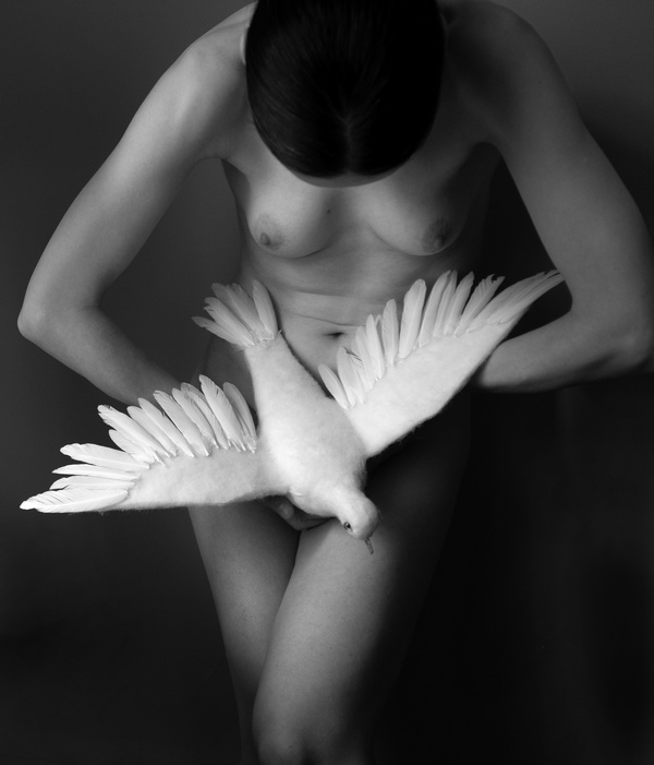 Stanko Abadžic - Female Nude with White Dove