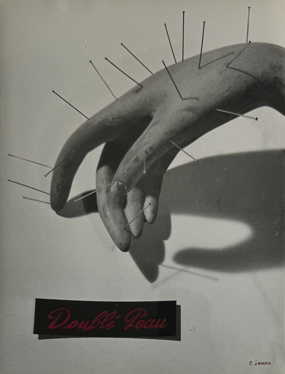 Pierre Jahan - Double Peau (Cover Project)