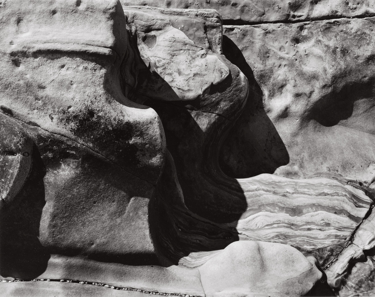 Paula Chamlee - Point Lobos, California, 2002