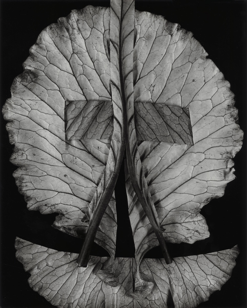 Paula Chamlee - Construction 1, 2013 Paula Chamlee - Construction 1, 2013