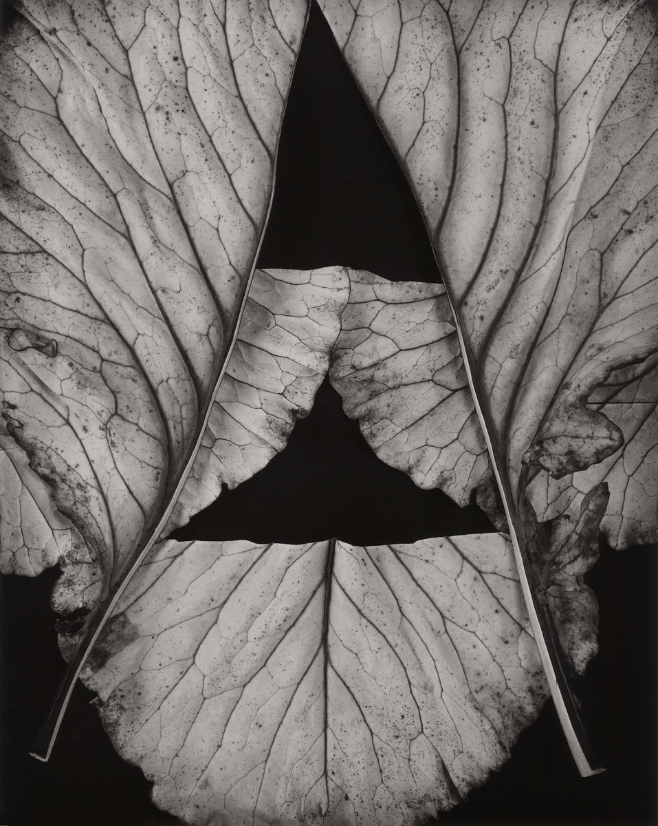 Paula Chamlee - Construction 2, 2013 Paula Chamlee - Construction 2, 2013