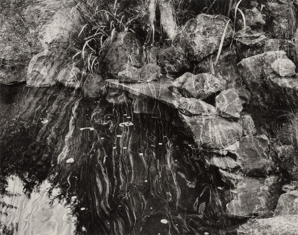 Paula Chamlee - Sonoma and Point Lobos, California, 2012