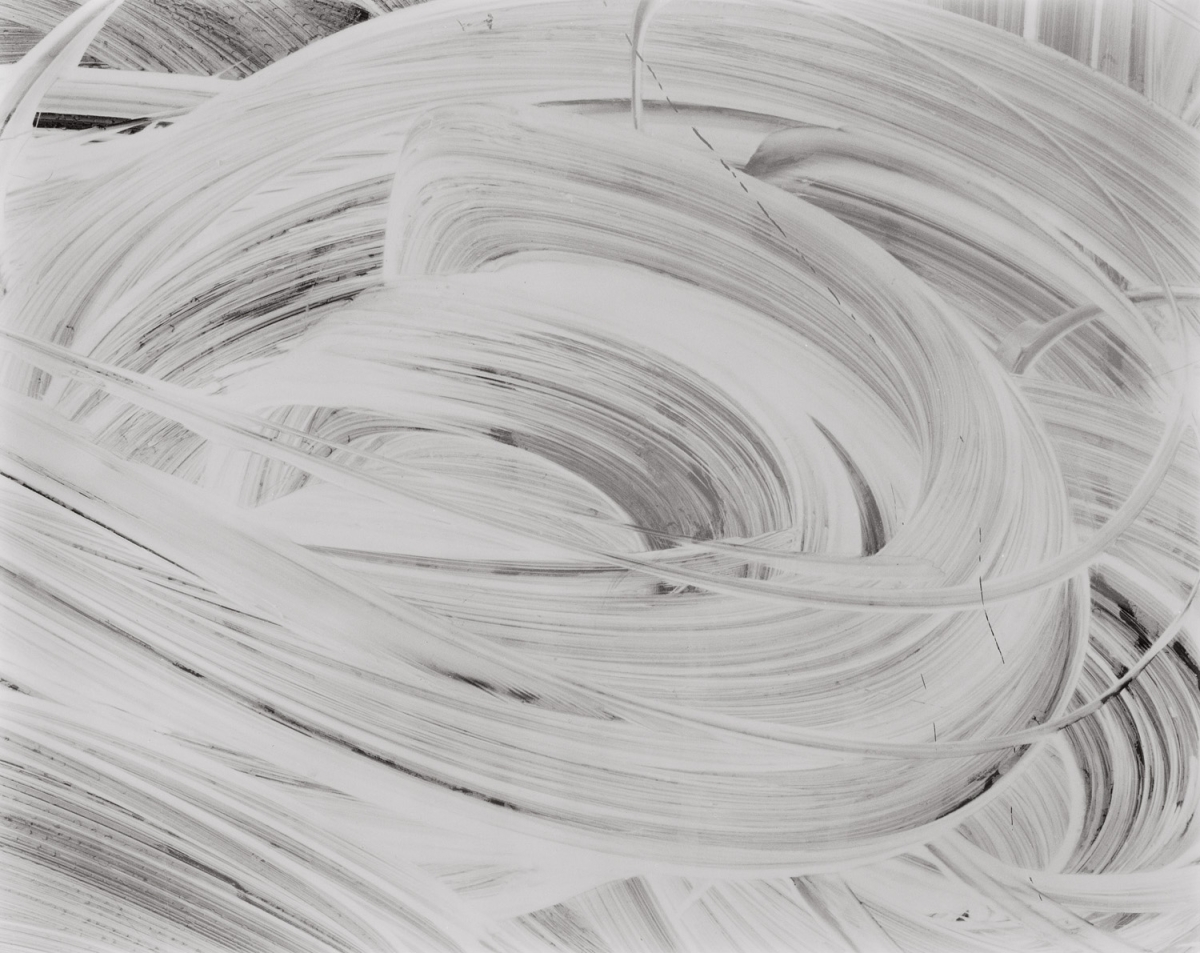 Paula Chamlee - Akureyri, Iceland, 2004 Paula Chamlee - Akureyri, Iceland, 2004