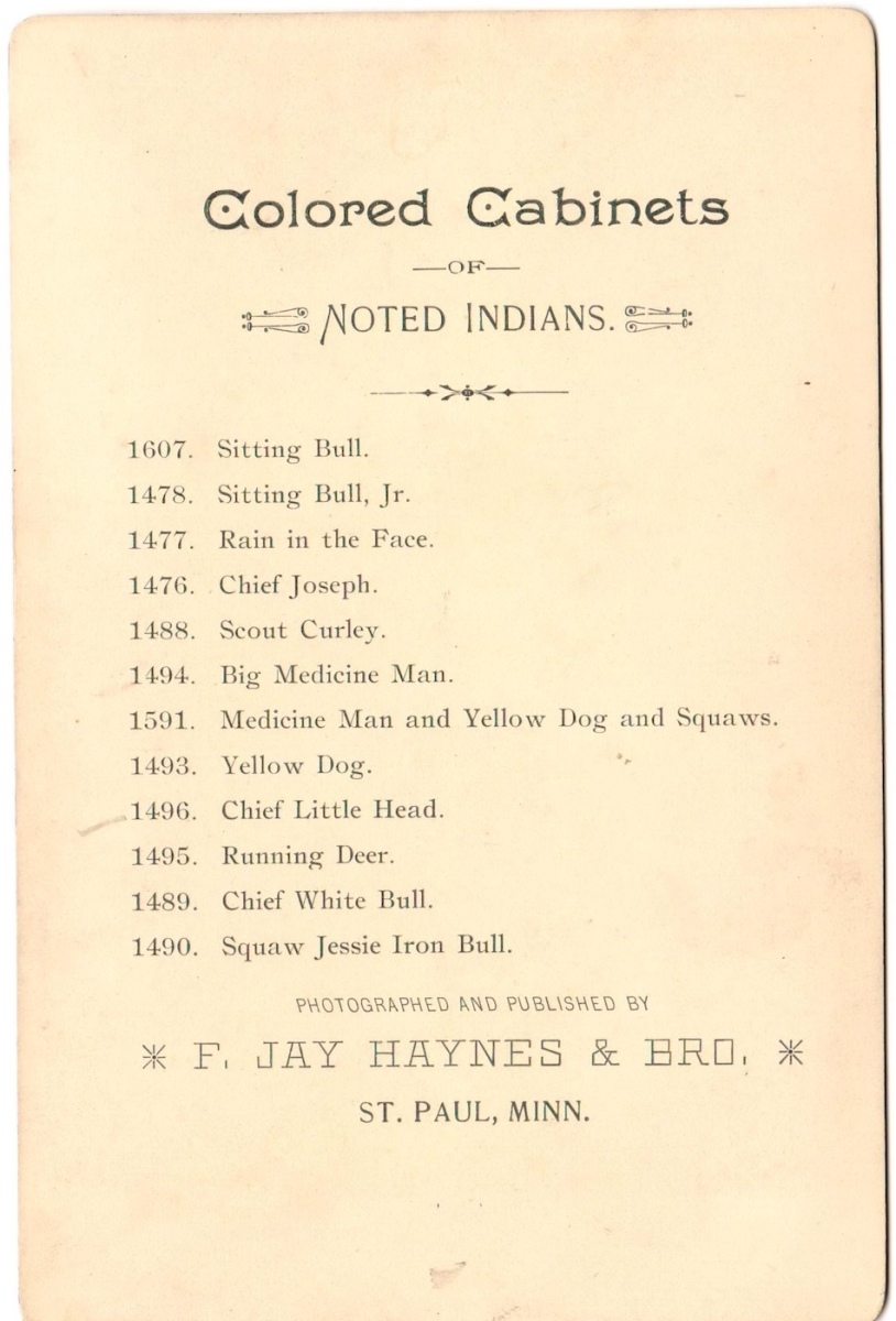 Chief Little Head (Apsáalooke/Crow)