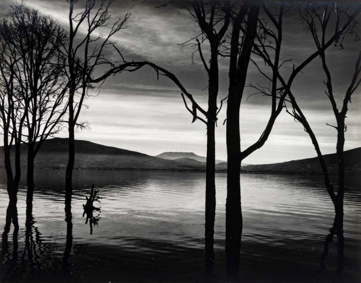 Brett Weston - Lake Patzcuaro, Mexico