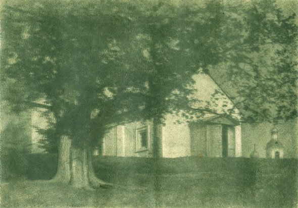 The House under the Tree