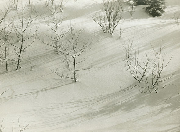 Stanislav Konecny - Snowy Winter Landscape