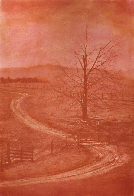 Ted Jones - Virginia Landscape #19