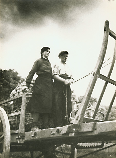 Ilse Bing - Peasants on Horse-Draw Cart with Baskets for Gathering Champagne Grapes