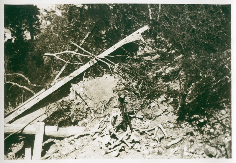 Large Collection of Photographs by Two African American Photographers: A Professional Military Photographer (in the US and the Phillippines) and an Amateur Photographer and Soldier(of US training camp and California Scenery)