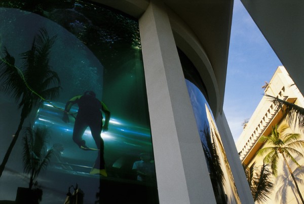 Vladimir Birgus: Honolulu, HA. Chromogenic print, 11-3/4 x 17-7/8 in. (298 x 454 mm), 2001/2008, unmounted. Signed, titled, dated and editioned. Available in 12 x 18 in./edition of 20, plus A.P., starting at $1,250; and 30 x 40 in. edition of 10, plus A.P., starting at $3,000. Vladimir Birgus: Honolulu, HA. Chromogenic print, 11-3/4 x 17-7/8 in. (298 x 454 mm), 2001/2008, unmounted. Signed, titled, dated and editioned. Available in 12 x 18 in./edition of 20, plus A.P., starting at $1,250; and 30 x 40 in. edition of 10, plus A.P., starting at $3,000.