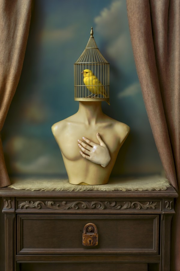 Bound, Brave, Beyond. Pigment inkjet print on archival paper with QR code.