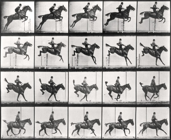 Laurence Miller Gallery brought a large group of Muybridge collotypes to the fair: Eadweard Muybridge, Plate 637 from the portfolio: Animal Locomotion. Jumping a hurdle; saddle; clearing, landing and recovering; bay horse Daisy, 1887.