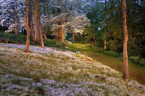 Terence Roberts, Dogwood Path, Mt Cuba (Copyright of the artist)