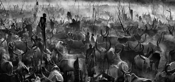 "Mankind", was spectacular, a 104-1/6-inch wide print by David Yarrow, which sold for £60,000.